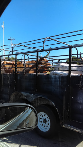 Outdoor Sports Store «SWFA Outdoors», reviews and photos, 5840 US-287, Midlothian, TX 76065, USA