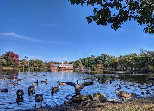 Zoo «Buttonwood Park Zoo», reviews and photos, 425 Hawthorn St, New Bedford, MA 02740, USA