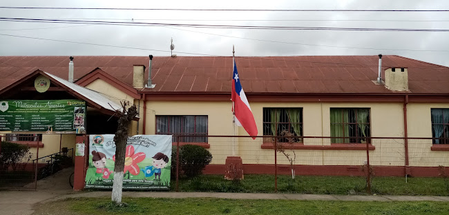 Liceo C-54 Los Castaños Pillanlelbun - Lautaro