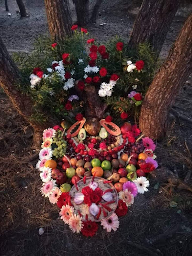 Igreja e Escola de Umbanda Sagrada e Ciência da Jurema Recanto dos Orixás - Amadora