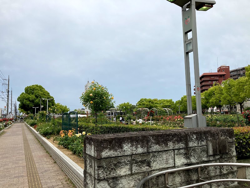 ばら公園 広島県福山市花園町 公園 公園 グルコミ