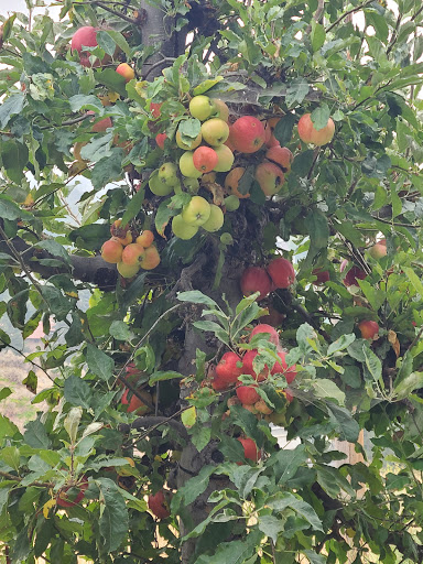 Winery «Vin Du Lac Winery», reviews and photos, 105 WA-150, Chelan, WA 98816, USA