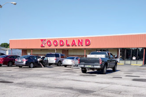 Muscle Shoals Foodland 108 image