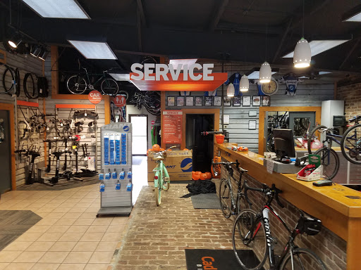 Bicycle Store «Cadence 120 Bicycle Works Inc», reviews and photos, 5558 Old Shell Rd, Mobile, AL 36608, USA