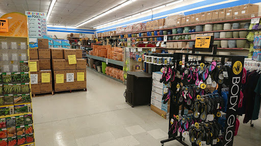 Discount Store «Ocean State Job Lot», reviews and photos, 2291 Northampton St, Holyoke, MA 01040, USA