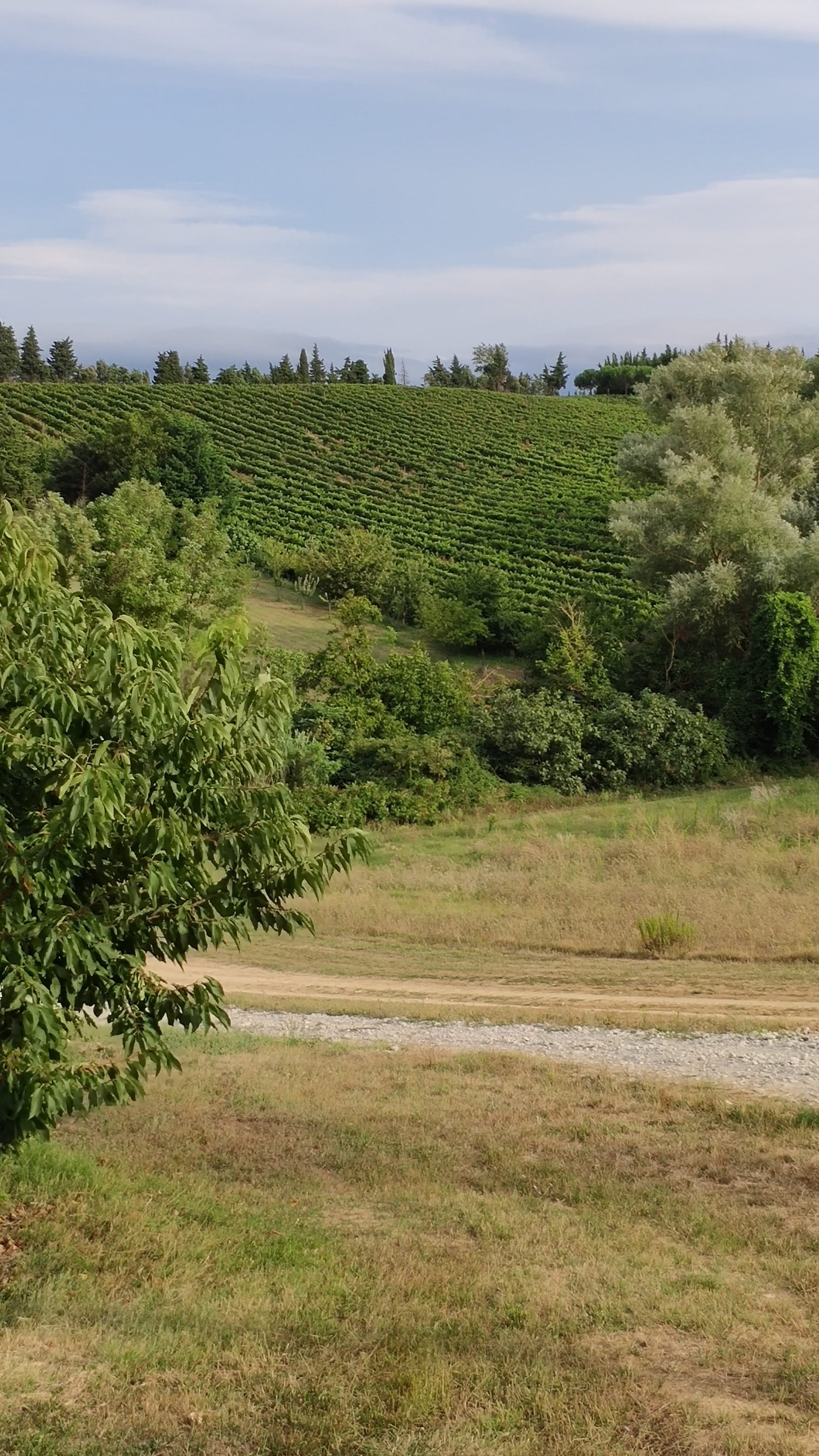 Photo n° 4 de l'avis de Emmanuel.o fait le 16/08/2018 à 20:37
