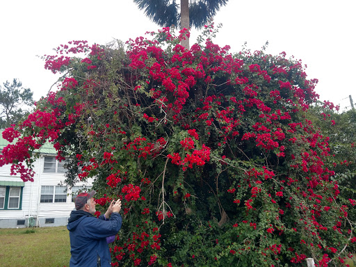 Religious Organization «Cassadaga Spiritualist Camp», reviews and photos