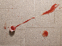 Sergio's Carpet & Floor Cleaning Service - Photo 3 - Car repair in , Chicago