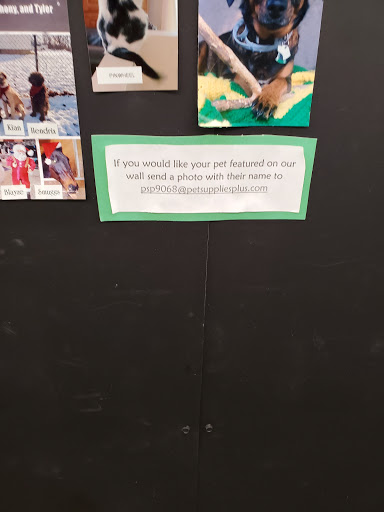 Pet Supply Store «Pet Supplies Plus», reviews and photos, 400 Lowell Ave Suite 14, Haverhill, MA 01832, USA