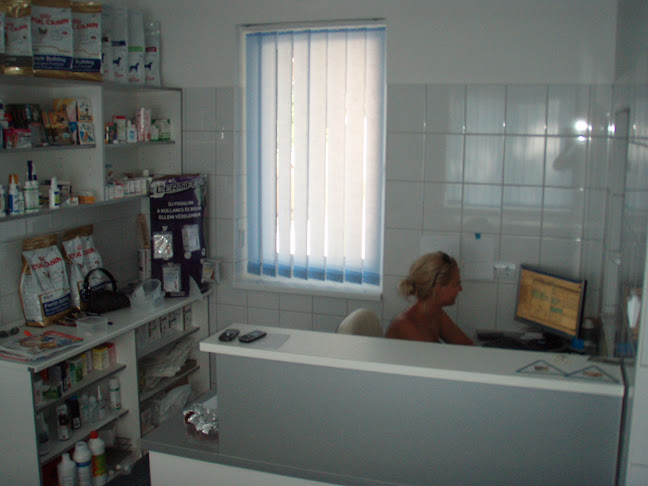 Comentarii opinii despre Állatorvosi rendelő