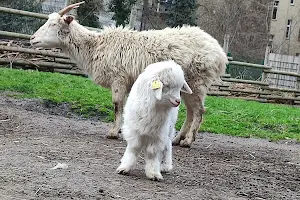 Tierpark Neukölln in der Hasenheide image