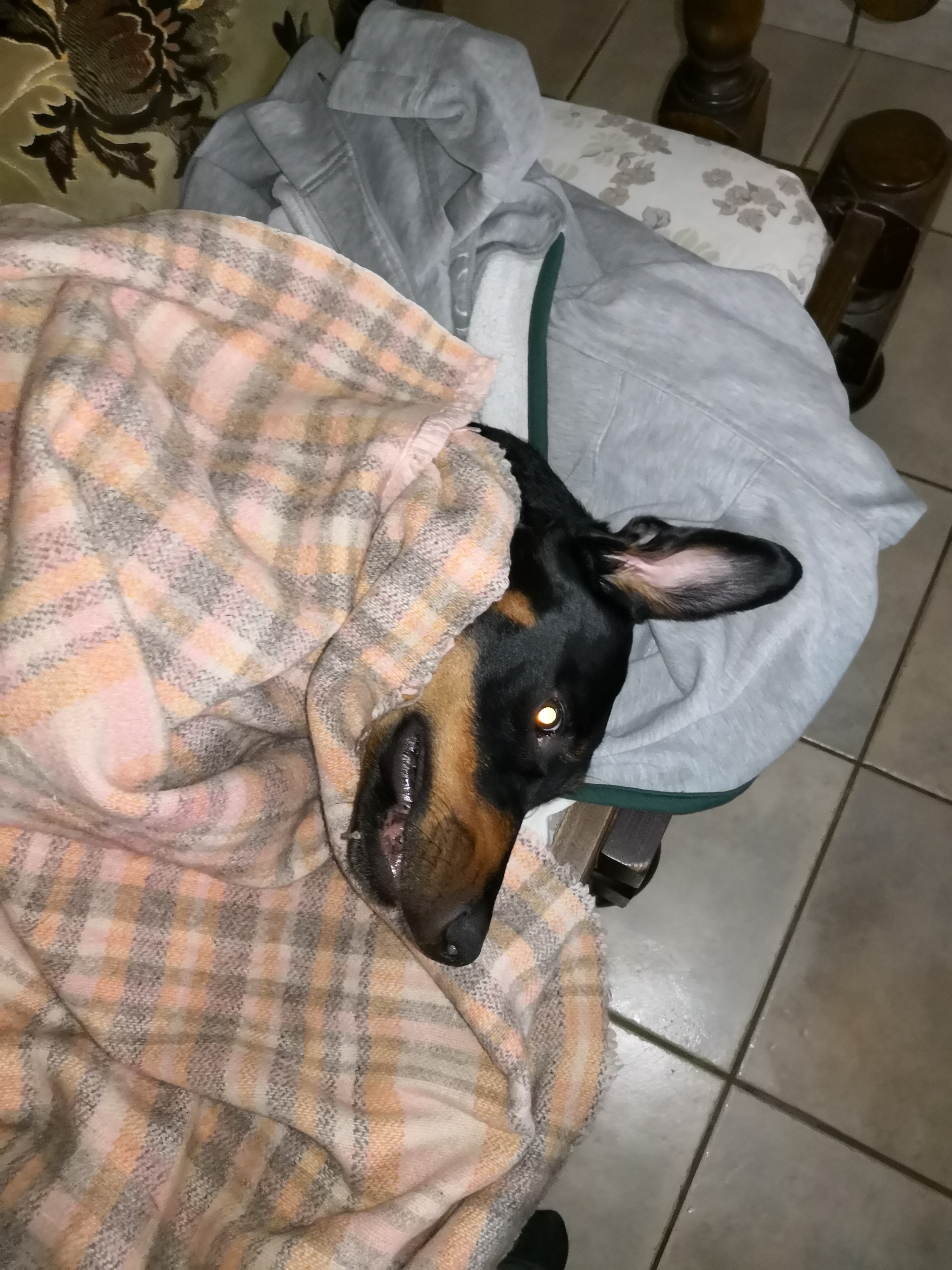 Photo n° 1 de l'avis de C'est.o fait le 25/10/2018 à 09:16