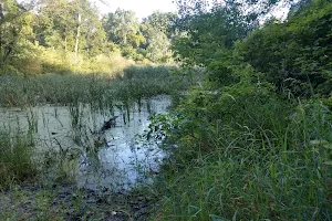 Kettle Pond image