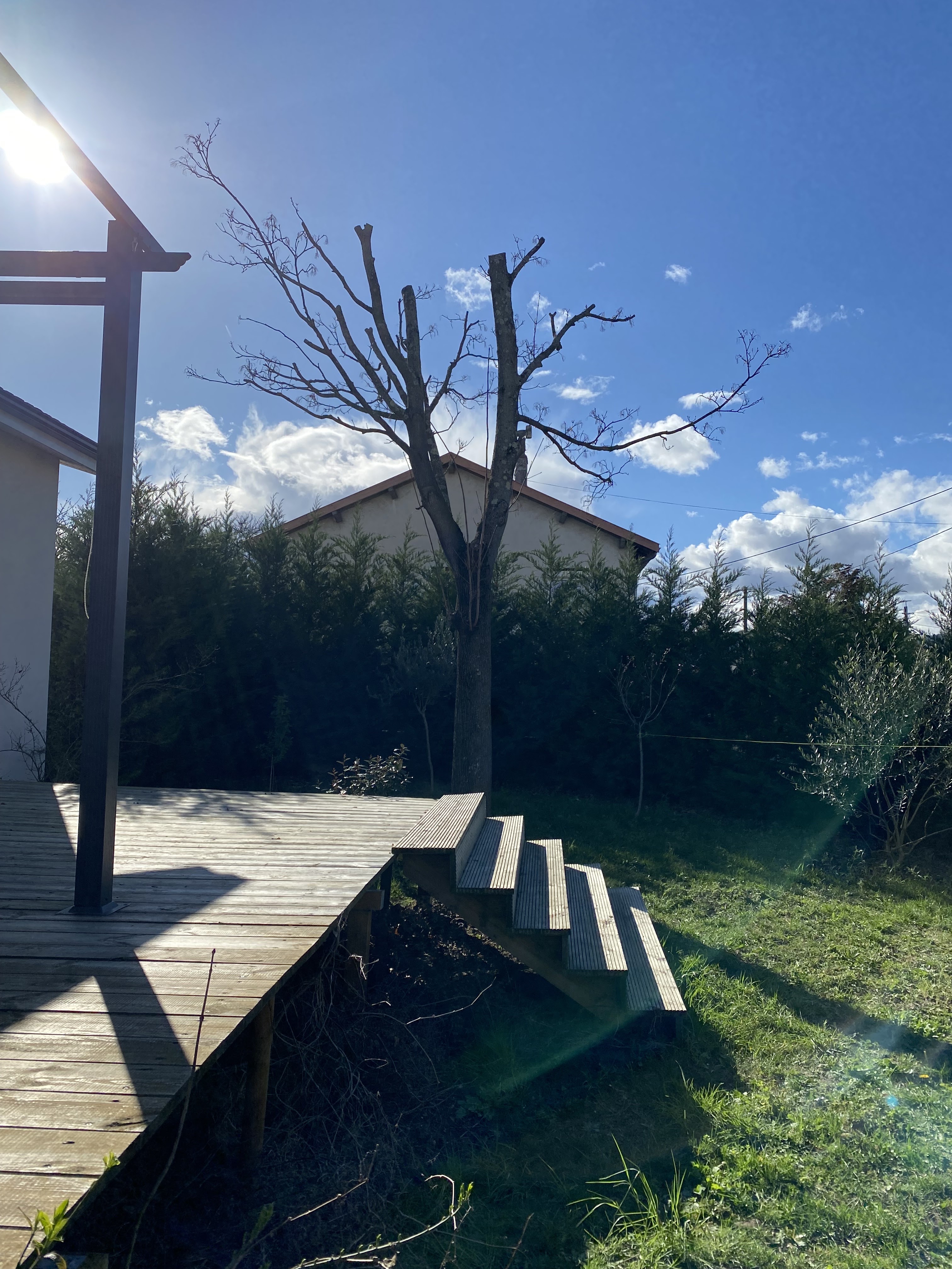 Photo n° 2 de l'avis de Bens.e fait le 26/02/2024 à 14:47
