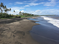 Pigstone Beach的照片 和解