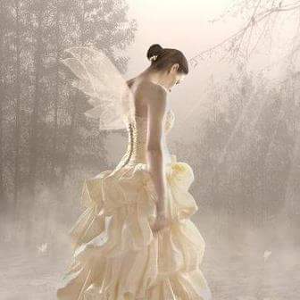 Motorcycle Dealer «Quick Time Cycle Sales», reviews and photos, 2087 S Church St, Spartanburg, SC 29306, USA