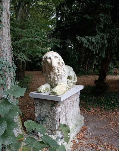 Parc aux lions à Saint-Germain-Laxis