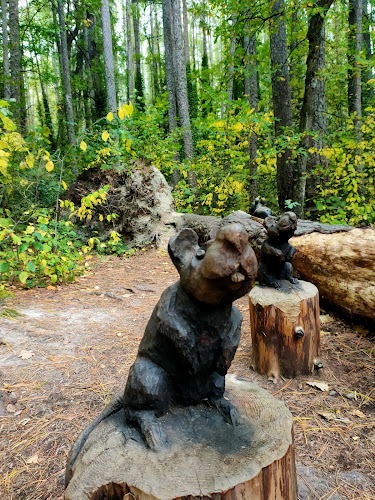 Forest amble sculptures - Hanmer Springs