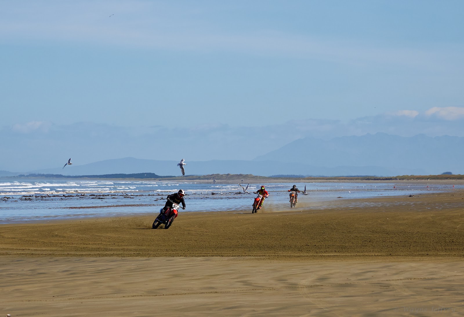 Photo de Oreti Beach situé dans une zone naturelle
