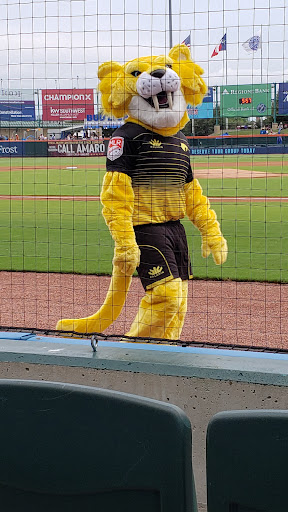 Stadium «Constellation Field», reviews and photos, 1 Stadium Dr, Sugar Land, TX 77498, USA