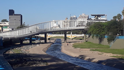 Puente Gobernador Dr. Ramón Bautista Mestre