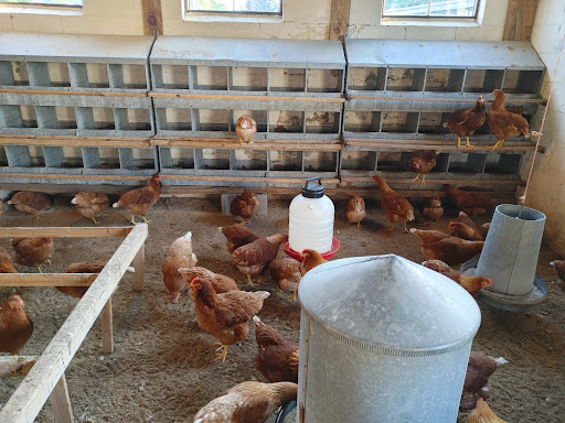 Dairy Farm «Sugar Hill Dairy», reviews and photos, 600 Pleasant St, Bridgewater, MA 02324, USA