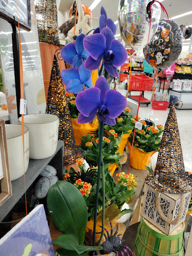 Supermarket «Hy-Vee», reviews and photos, 2540 E Euclid Ave, Des Moines, IA 50317, USA