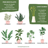 Synergetic Spaces - Photo 3 - Car repair in , Asheville