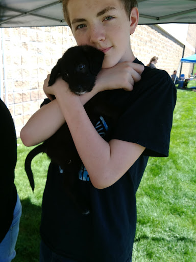 Pet Supply Store «Petco Animal Supplies», reviews and photos, 3110 S Louise Ave, Sioux Falls, SD 57106, USA