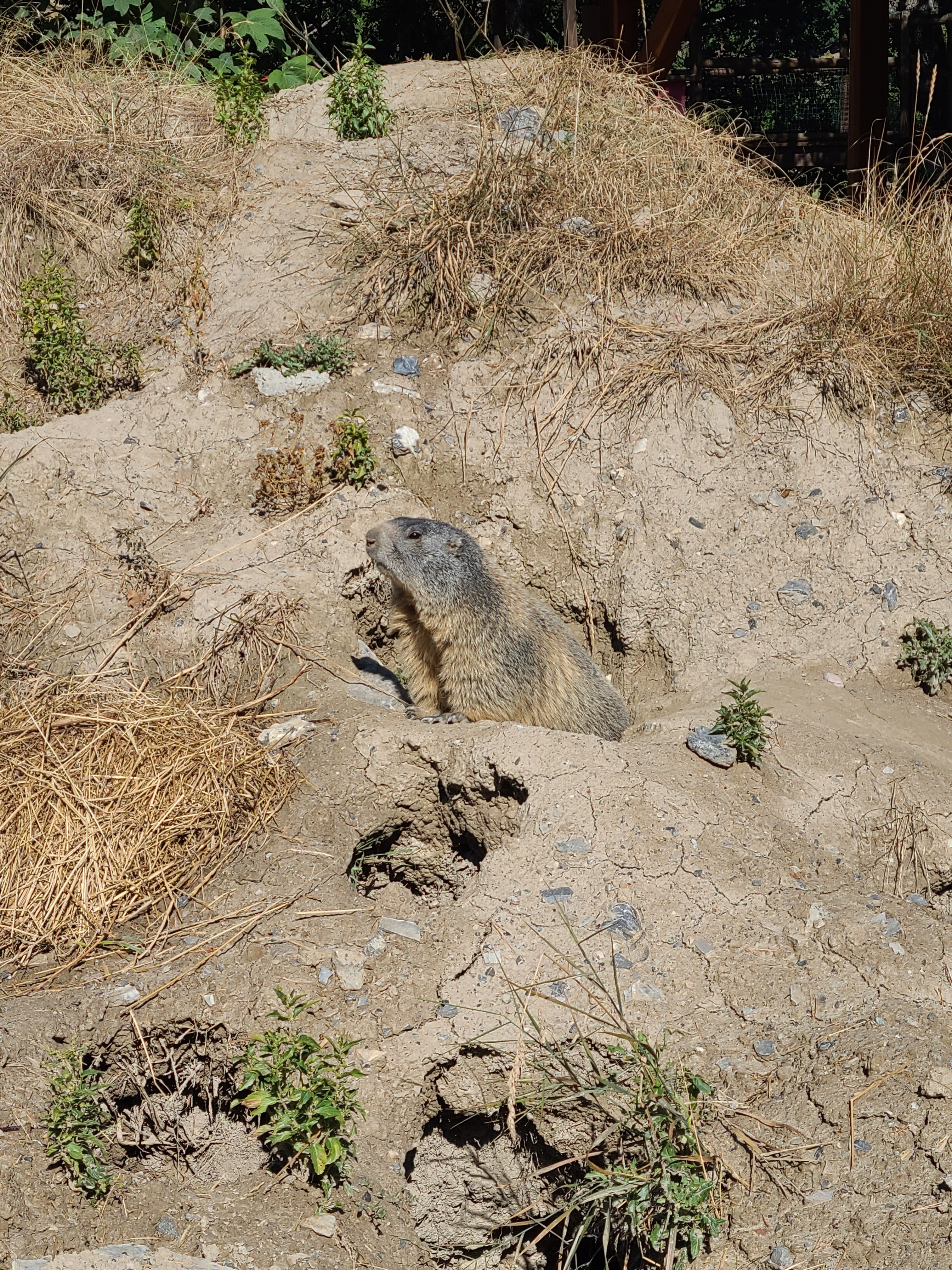 Photo n° 5 de l'avis de ju. fait le 09/09/2023 à 15:27