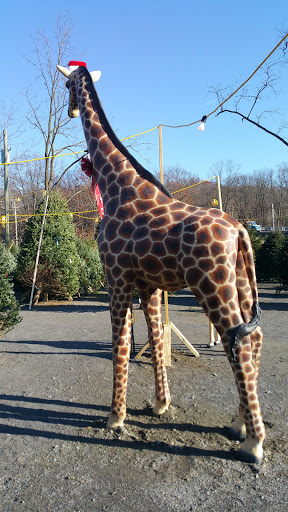 Garden Center «Hilltop Nursery & Garden Center», reviews and photos, 2028 Albany Post Rd, Croton-On-Hudson, NY 10520, USA