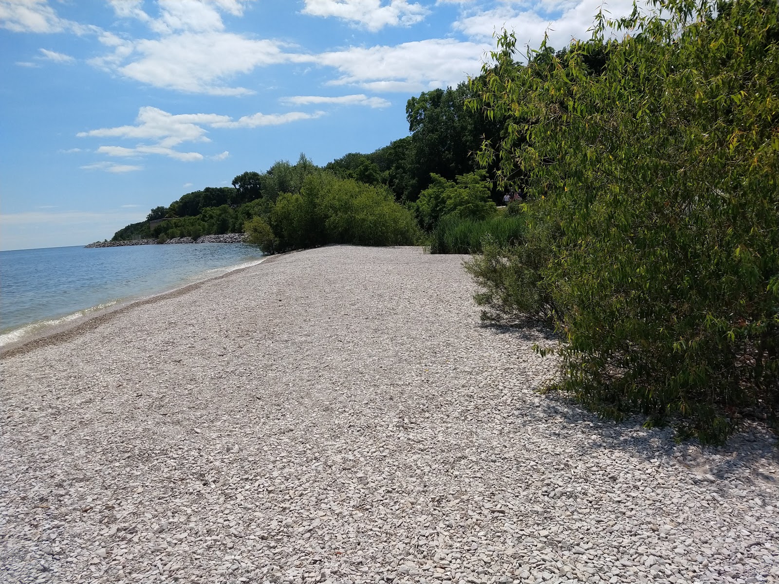 Foto von South Shore Park annehmlichkeitenbereich