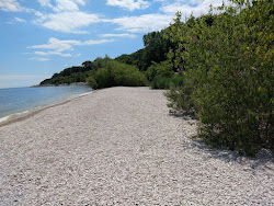 Foto von South Shore Park annehmlichkeitenbereich