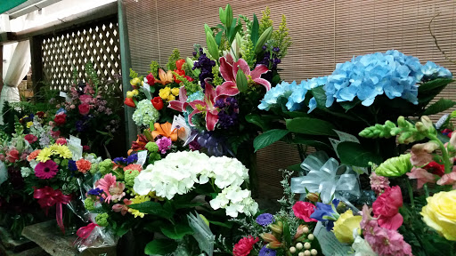 Florist «Grohe Florists», reviews and photos, 1313 McDonald Ave, Santa Rosa, CA 95404, USA