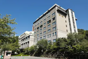 Hotel Tsubakikan image