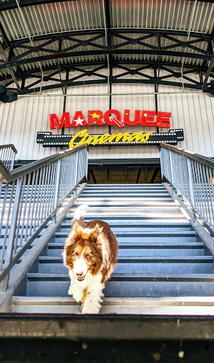 Movie Theater «Marquee Cinemas», reviews and photos, 220 9th St, Huntington, WV 25701, USA