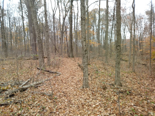 Nature Preserve «Burnett Woods», reviews and photos, 8264 E County Rd 100 S, Avon, IN 46123, USA