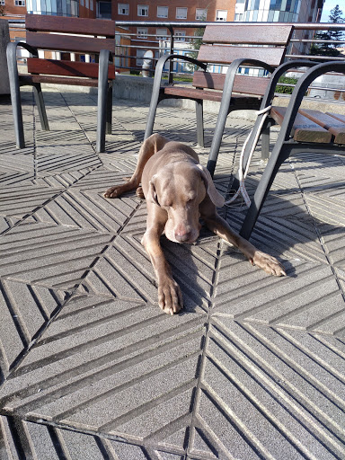 Tartanga Hospital Veterinario en Altzaga