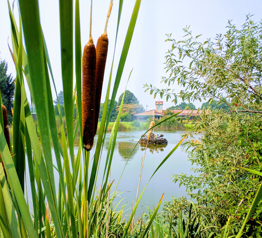 Arboretum «Yakima Area Arboretum», reviews and photos, 1401 Arboretum Dr, Yakima, WA 98901, USA