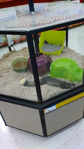 Pet Supply Store «Petco Animal Supplies», reviews and photos, 1624 Governors Square Blvd, Tallahassee, FL 32301, USA