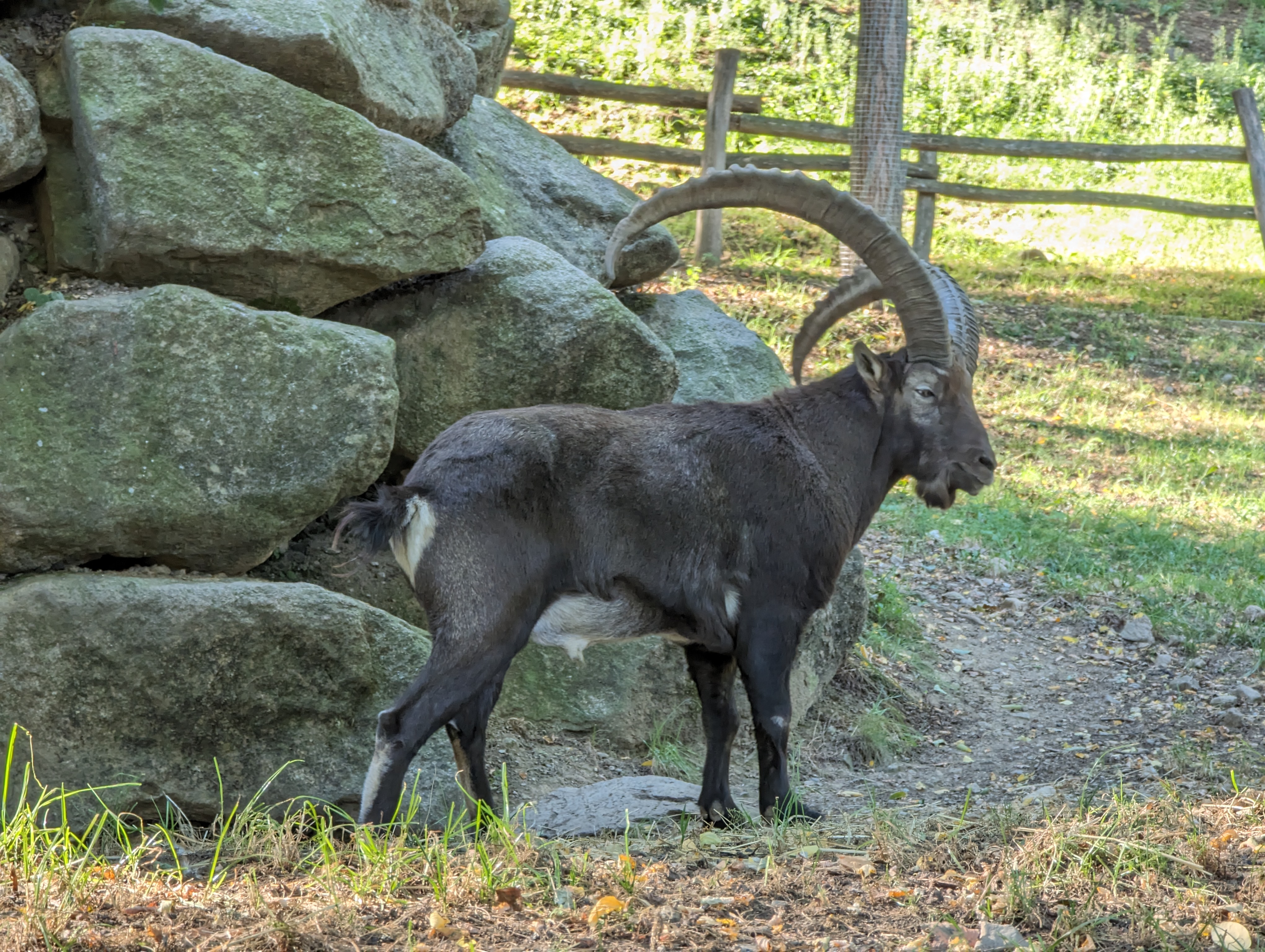 Photo n° 33 de l'avis de Thibaud.l fait le 10/10/2023 à 07:10