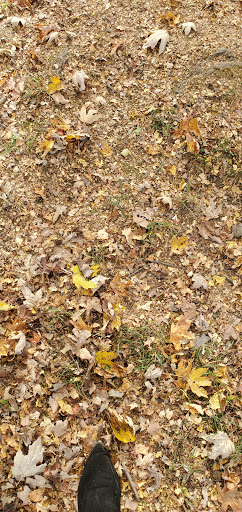 Park «North Olmsted Community Park», reviews and photos, 28114 Lorain Rd, North Olmsted, OH 44070, USA