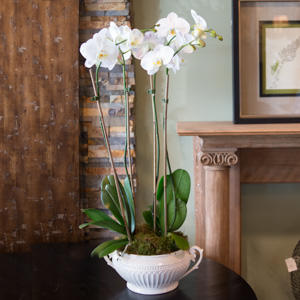 Florist «Happy Canyon Flowers», reviews and photos, 5048 E Hampden Ave, Denver, CO 80222, USA