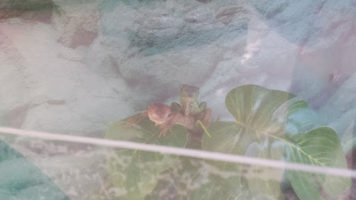 Pet Supply Store «Petco Animal Supplies», reviews and photos, 1201 E Washington Ave, Union Gap, WA 98903, USA