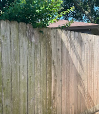 SoftWash Solutions - Photo 4 - Car repair in Houston, TX, League City