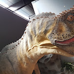Photo n° 6 de l'avis de Jean-luc.o fait le 20/09/2020 à 06:51 pour Musée des Dinosaures d'Espéraza à Espéraza