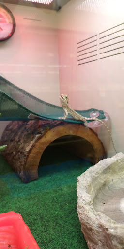 Pet Supply Store «Pet Supplies Plus», reviews and photos, 1937 FL-60, Valrico, FL 33594, USA