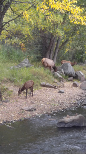 Winery «Creekside Cellars», reviews and photos, 28036 CO-74, Evergreen, CO 80439, USA