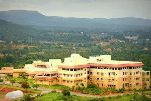 Sri Sri Ayurveda Hospital - NABH accredited Multi Specialty Ayurveda Hospital in Bengaluru image
