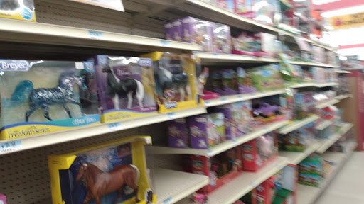 Home Improvement Store «Tractor Supply Co.», reviews and photos, 100 W Ardice Ave #1, Eustis, FL 32726, USA